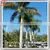 2015 Wholesale Price Artificial Plastic Outdoor Lighted 6M Palm Trees for Decoration thumbnail-2