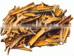 CINNAMON thumbnail-1