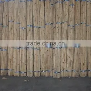 Rattan Malacca Cane Pole thumbnail-1
