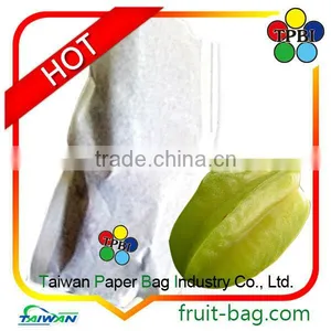 Carambola Star Fruit Taiwan White Paper Bag Averrhoa Carambola Paper Bag Taiwan thumbnail-1
