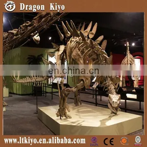 Theme Park High Simulation Dinosaur Skeleton Fossil thumbnail-2