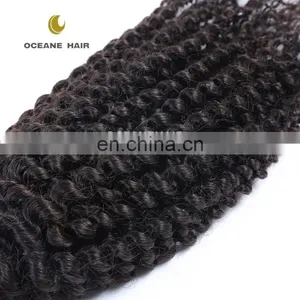 Unprocessed Brazilian Human Hair, Kinky Curly Virgin Human Hair Weave thumbnail-6