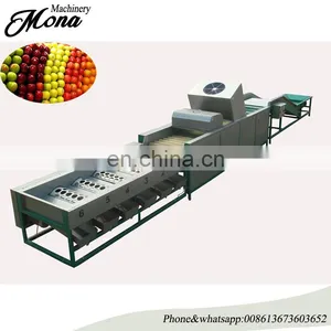 Olive Size Grading Machine/oval Fruit Grader From Fruit Process Machines thumbnail-1