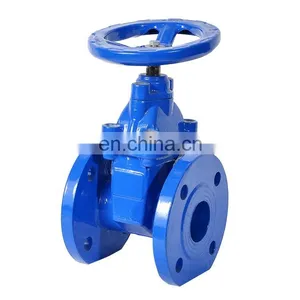 Bundor Non Risng Stem Gate Valve Double Bonnet 2 Inch 4 Inch Water Flanged Gate Valve thumbnail-1