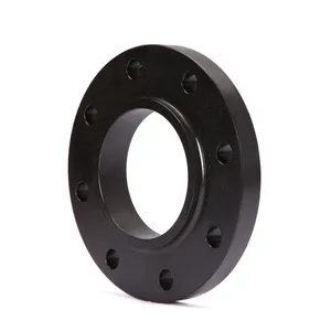 ANSI B16.5 Inlet Flange Forged Carbon/Stainless Steel Flanges Blind Flange thumbnail-3