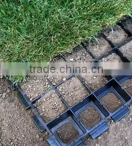Grass Pavers thumbnail-3