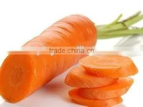 CT-C Series Hot Air Circulating Drying Oven for Carrot thumbnail-3