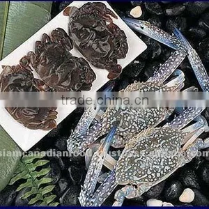 Whole Cleaned Soft Shell Raw Crab thumbnail-1