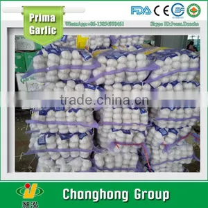 2016 Purple Garlic Factory Directly Supply Small Packing thumbnail-1