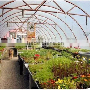 Agriculture Mist Cooling System thumbnail-1