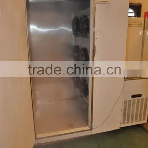 Individual Quick Freezer for Instant Freezing Dumpling and Dim Sum thumbnail-4