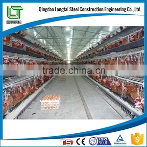 Steel Structure Poultry House and Poultry Farming thumbnail-1