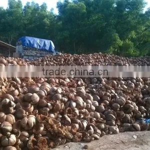 Coconut Fiber High Quality _ QQ : 2290755420 thumbnail-1