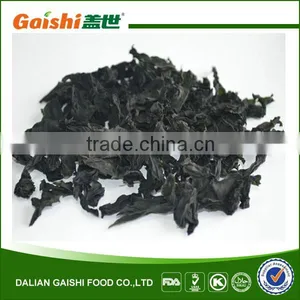 Live Largest Bulk Wakame thumbnail-1