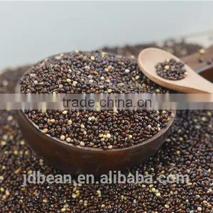 High Quality White Broomcorn Millet (glutinous Broom Corn/proso Millet) thumbnail-6