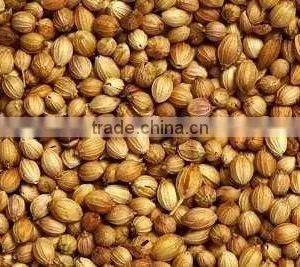 Organic Coriander Seed thumbnail-1
