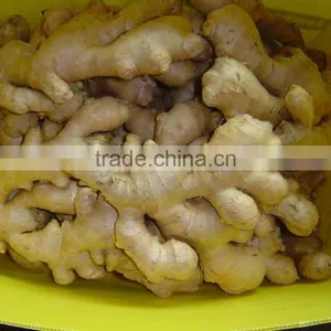 Fresh Air Dried Ginger of Shandong thumbnail-5
