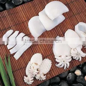 Cephalopods Seafood Fresh Squid thumbnail-2