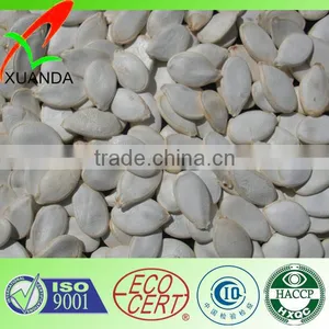 Pumpkin Seeds Shine Skin thumbnail-3