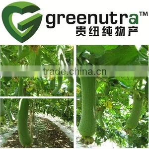 Luffa Sponge Fruit Extract thumbnail-1