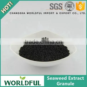 Wholesale Price Seaweed Extract Granule Alginic Acid 18% for Agriculatural Use thumbnail-1