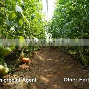 Agro-microbial Agent thumbnail-4
