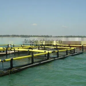 Square Floating Net Cage thumbnail-1