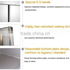 304 Stainless Steel Good Quality Hotel Refrigerator/Kitchen Refrigerator/Gas Operated Refrigerator thumbnail-3