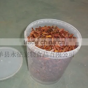 Best Price of Plastic Grasshoppers thumbnail-2