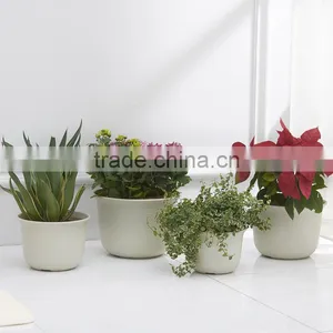 Plastic Round Succulent Plant Pot/Cactus Plant Pot Flower Container thumbnail-2