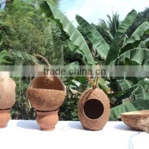 Coconut Shell Bird Feeder thumbnail-1