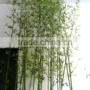 Home Garden Decoration Artificial Outdoor Green Lucky Bamboo Fake Evergreen Bamboo thumbnail-5