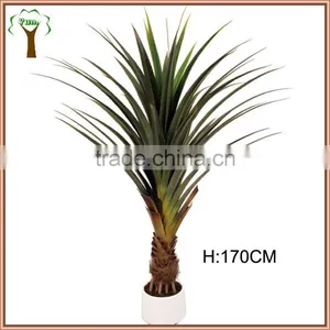 Artificial Octopus Dracaena Tree for Indoor Decoration thumbnail-1
