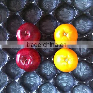 Disposable Food Container thumbnail-1