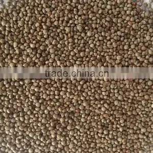 Perilla Seeds thumbnail-2