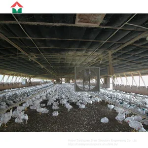 Chicken House Designs for Small Scale thumbnail-5