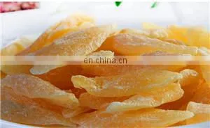 Raisin Processing Equipment/fruit Processing Equipment thumbnail-5
