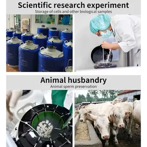 Libya Container for Sperm Collection KGSQ Semen Canister thumbnail-4