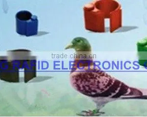RFID Electronic Foot Ring Electronic Chicken Foot Ring thumbnail-1