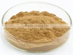 2015 China Manufacturer Organic Green Coffee Bean Extract, Green Coffee Bean Extract Powder, Pure Green Coffee Bean Extract thumbnail-4