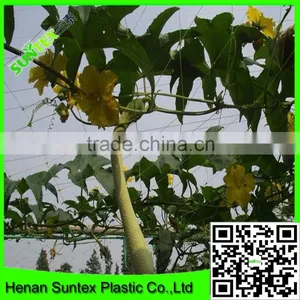 Heavy Duty Long-lasting Trellis Netting Squares Plant Support Mesh thumbnail-3
