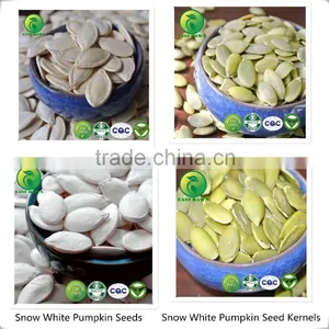 Chinese Bulk Black Sunflower Seeds With Good Quality 2015 New Crop thumbnail-5