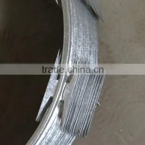 Hot Dipped Razor Wire/razor Barbed Wire Mesh Fence thumbnail-1