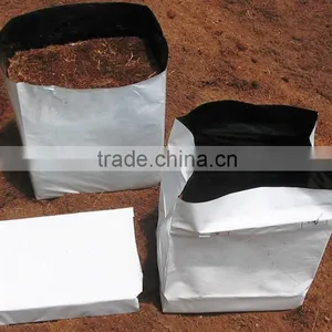 Plants Nursery Bag! PE Type Plants Nursery Bags Factory Wholesale Nursery Bags thumbnail-1