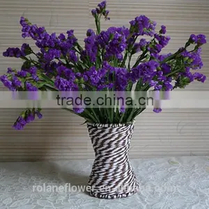 the Beautiful Decorative Foliage Purple Myosotis Flower thumbnail-6