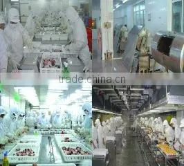 Xiamen East Ocean Fishery Co., Ltd. company overview - view 3 thumbnail