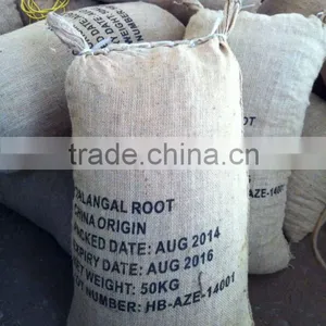 Chinese Spices of Galingale Root thumbnail-4