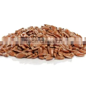 Flax Seeds thumbnail-1