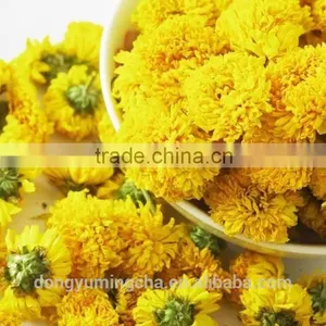 Chrysanthemum Chinese Teas Benefits for Chinese Herbal Remedies thumbnail-2