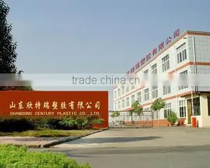 Shandong Century Plastic Co., Ltd. company overview - view 2 thumbnail